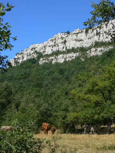 Poco a poco dejamos atrás los riscos de Vallcebre 