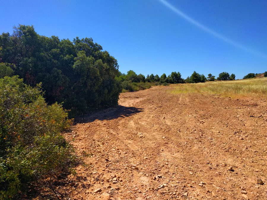 Campo en lo alto del risco 