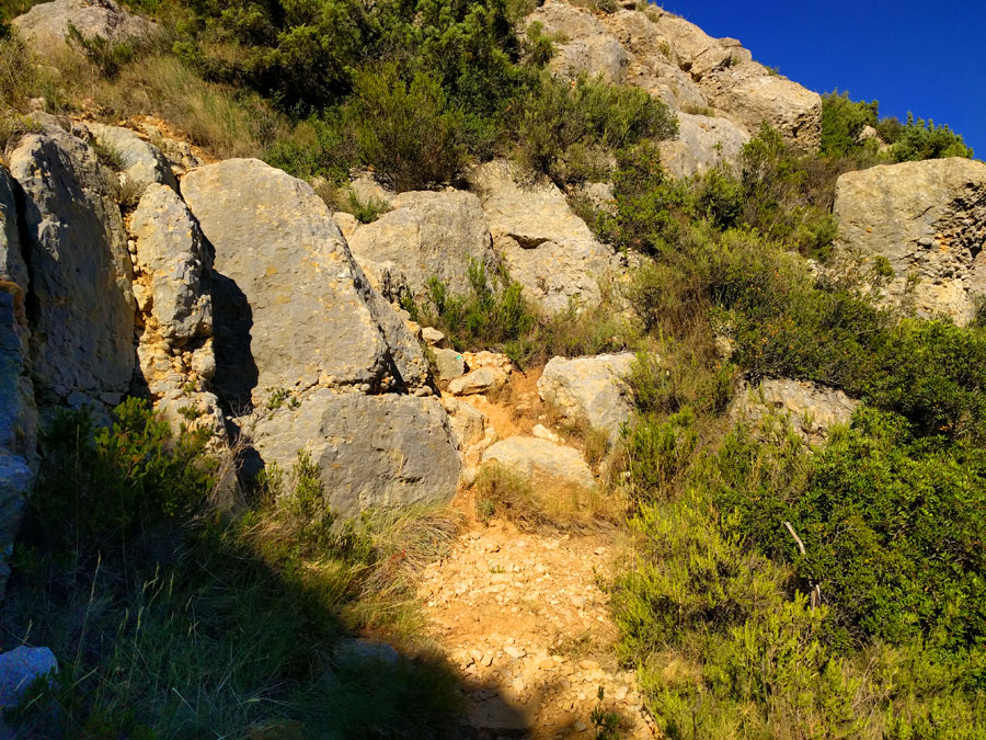 Seguimos las marcas verdes 