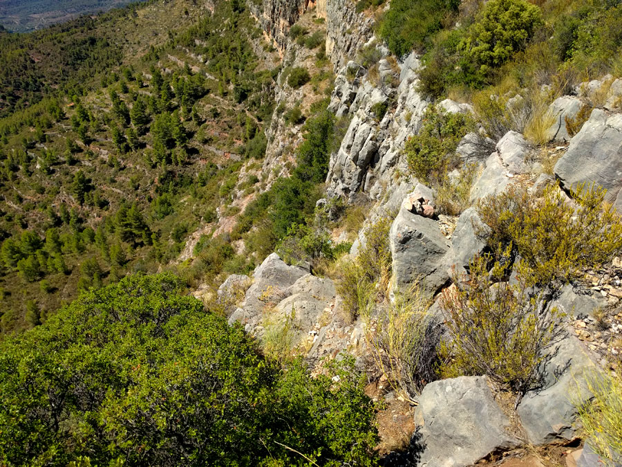 Zona escalonada al inicio 