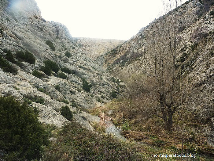 Hoz del Río Sus 