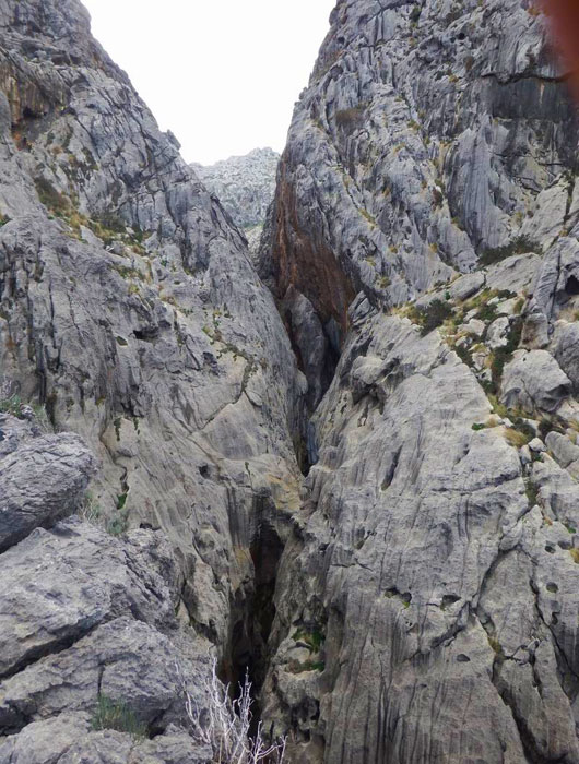 Vista del barranco 