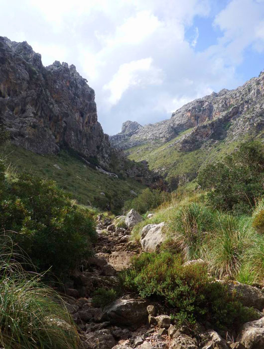 Caminando por el torrent de Mortitx 