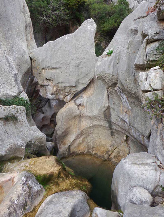 Inicio del barranco 