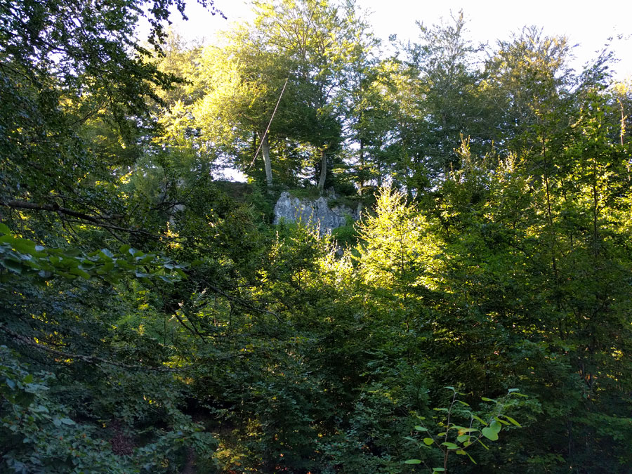 Vista de la tirolina desde abajo 