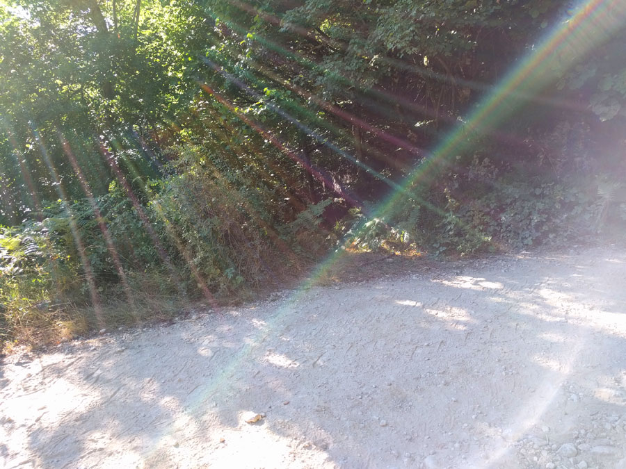 Salimos de la pista a la izquierda -poco visibles hay unos hitos en el suelo- 