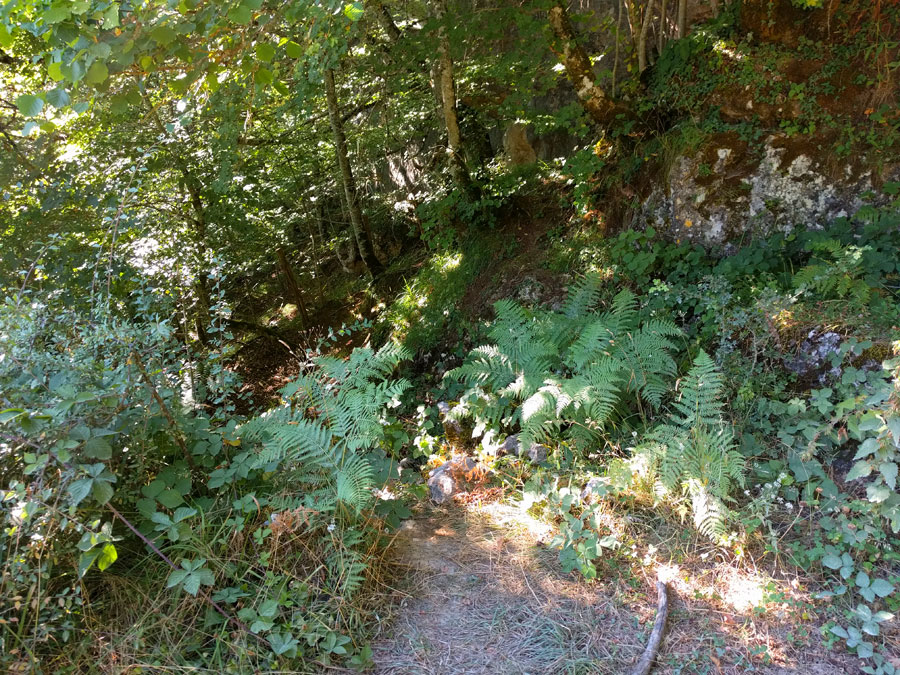 Caminito que nos lleva a una valla 