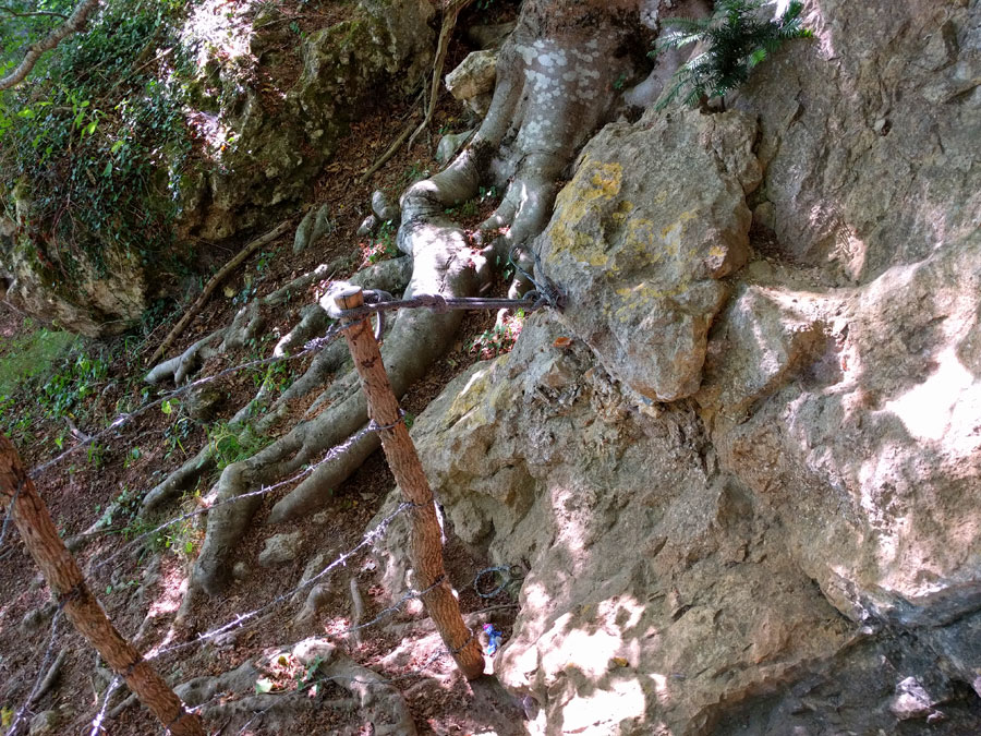 Pasamos la puerta de ganado y la cerramos 
