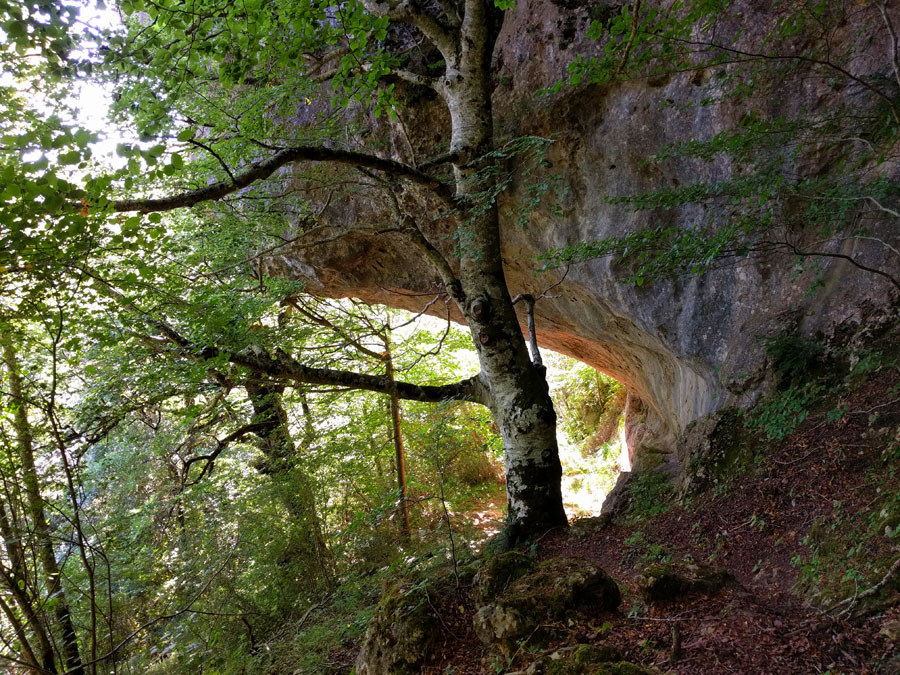 Caminamos por el bosque junto a espectaculares paredes 