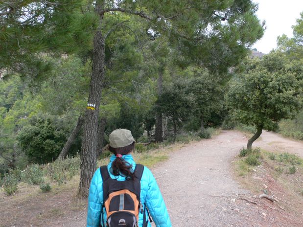 Seguimos el sendero PR-31 