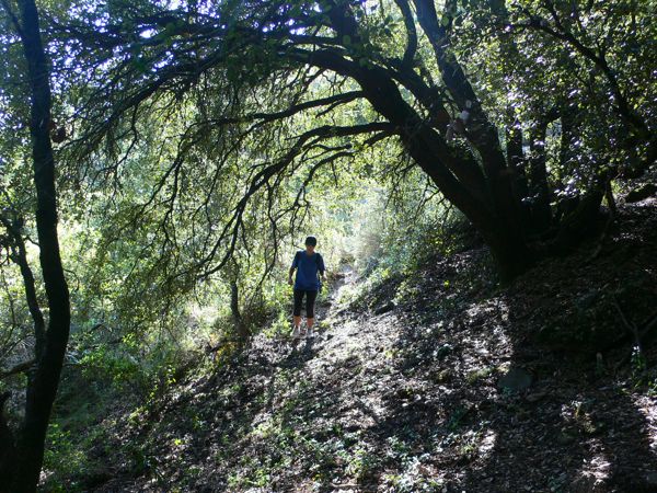 Entramos al camino de la canal de l Abella 