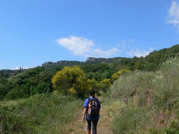Cerca de Can Garrigosa 