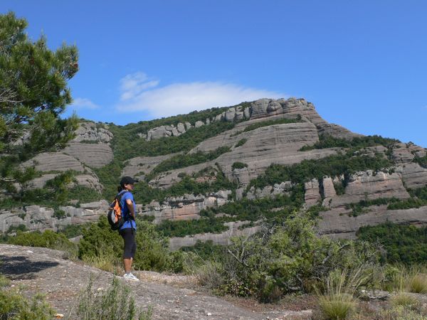 Vista del Cingle dels Cavalls al pie de la Roca Petanta 