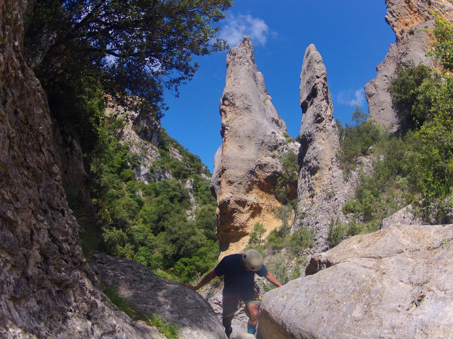Estilizadas agujas en el barranco de la Pardina 