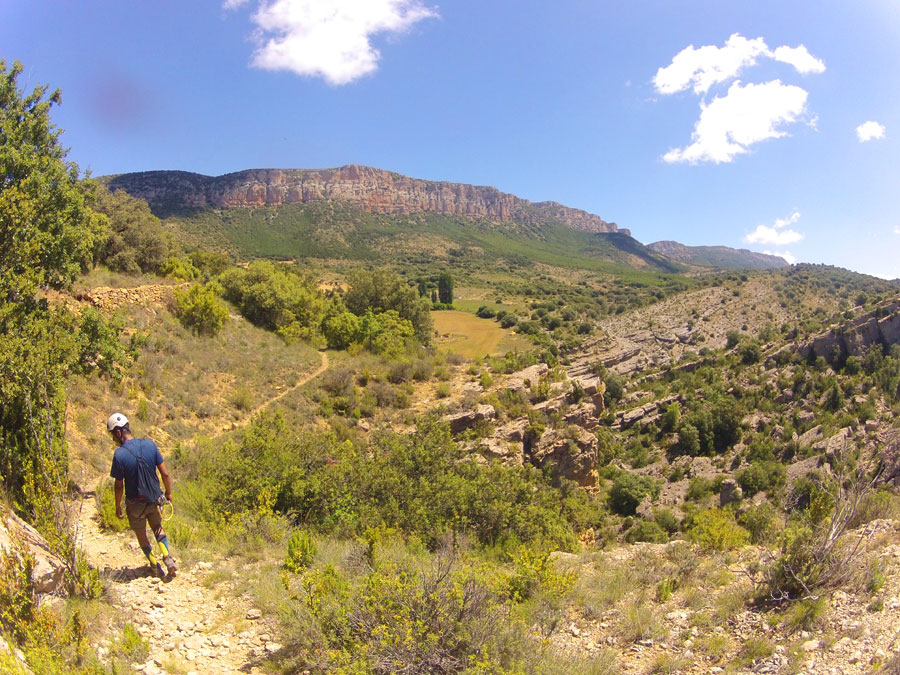 De bajada en busca del barranco de la Pardina 