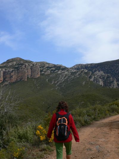 Aproximándonos al barranco por una amplia pista 