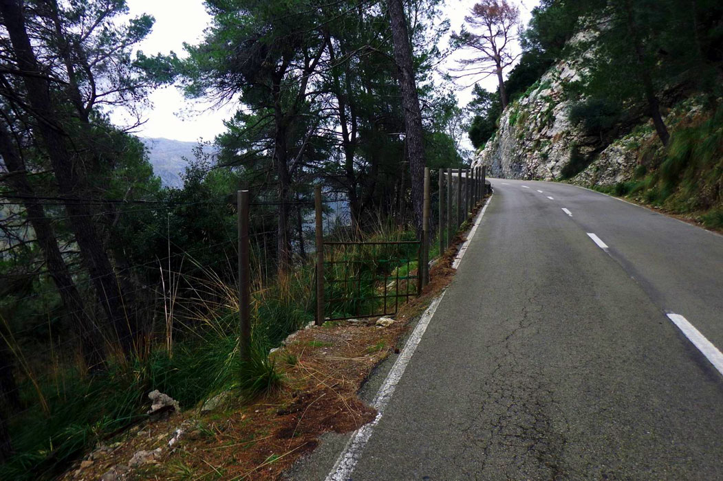 Puerta verde de acceso (© Miguel Valle) 