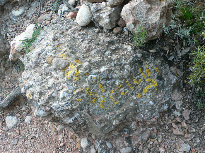 Desvíos en el Coll del Miracle -seguimos la derecha- hacia la canal. 