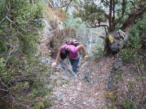 Marcas azules y amarillas 