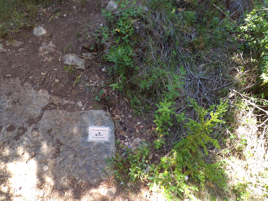 Desvío al grau dels Patacons -para la ferrata seguimos el camí dels Cingles- 