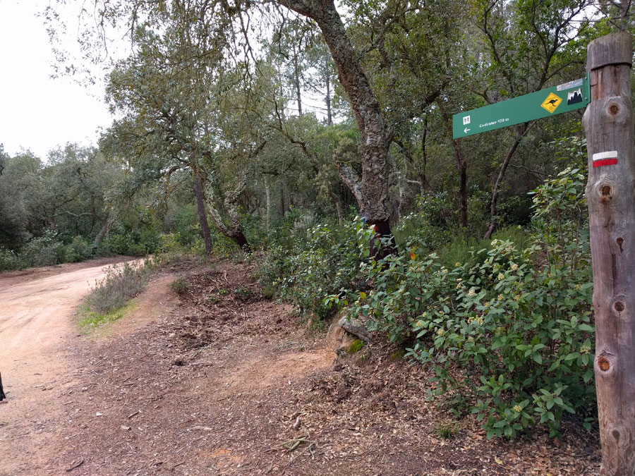 Seguimos el indicador y señales de GR 