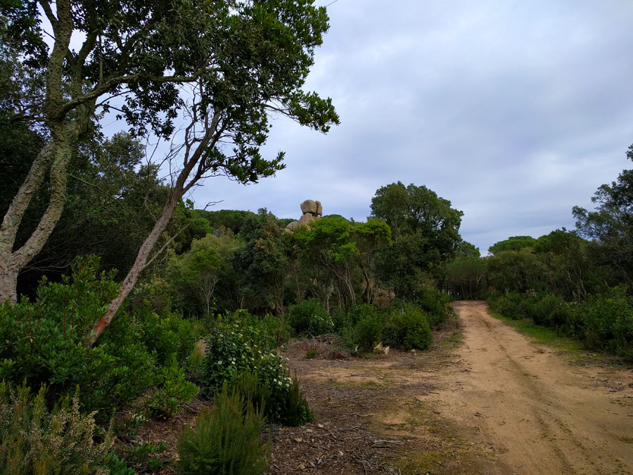 Nos acercamos a La Pedra sobre altre 
