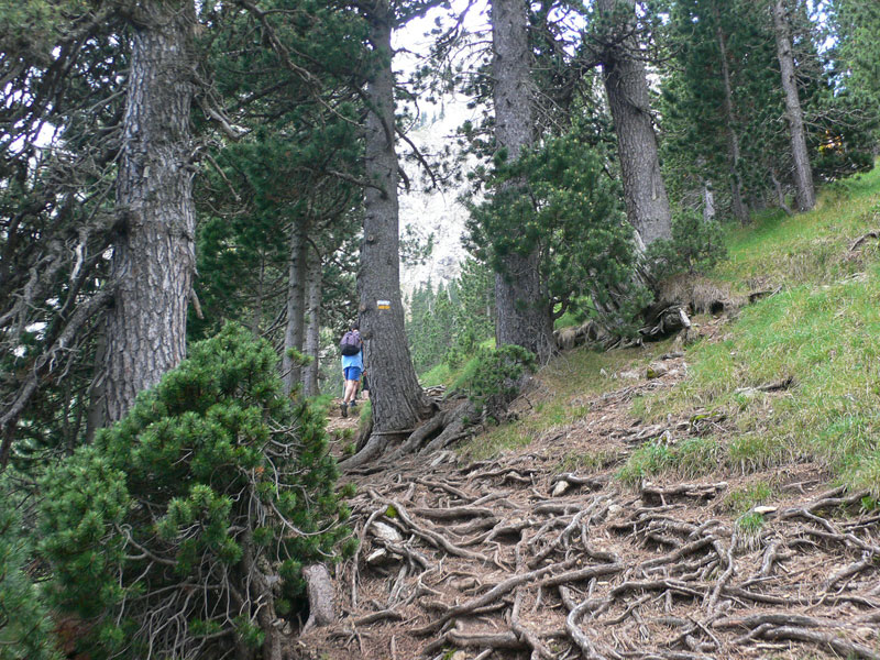 La subida continua fuerte seguimos las marcas de PR 