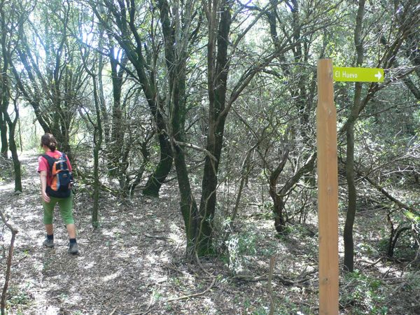 En este desvío al Huevo nosotros seguimos un pequeño sendero entre el bosque a la izquierda no hacia el Huevo 