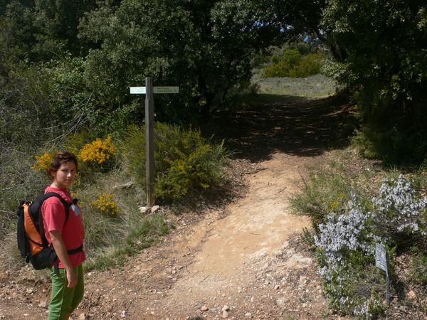 Desvío a la Cruz Cubierta y la Peña San Cosme 