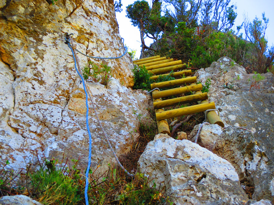 Escalera de madera al Pas dels Escarrissons - Ampliación 2015- (© Jesus Matheu) 