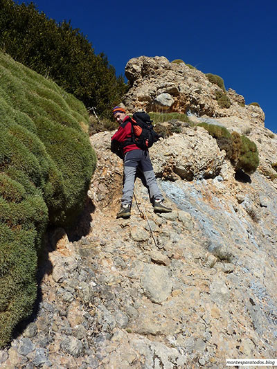 Paso vertical de la primera clavija 