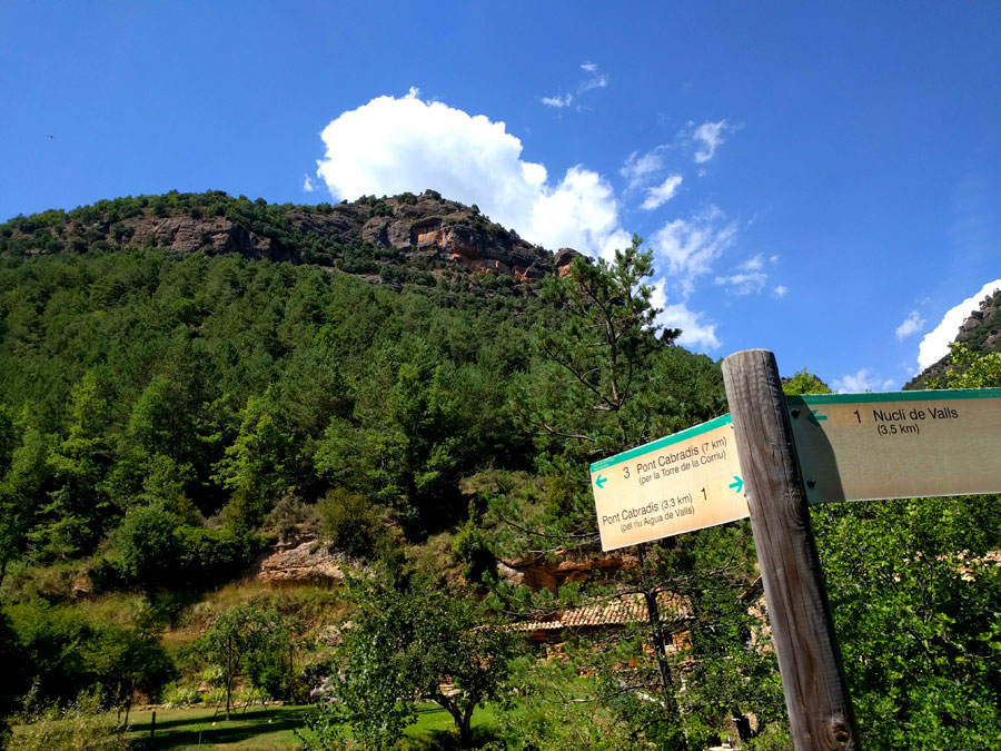 Detalle de los indicadores 