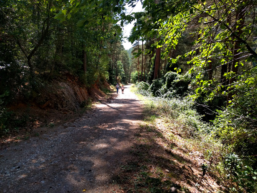 Avanzamos por una pista ancha 