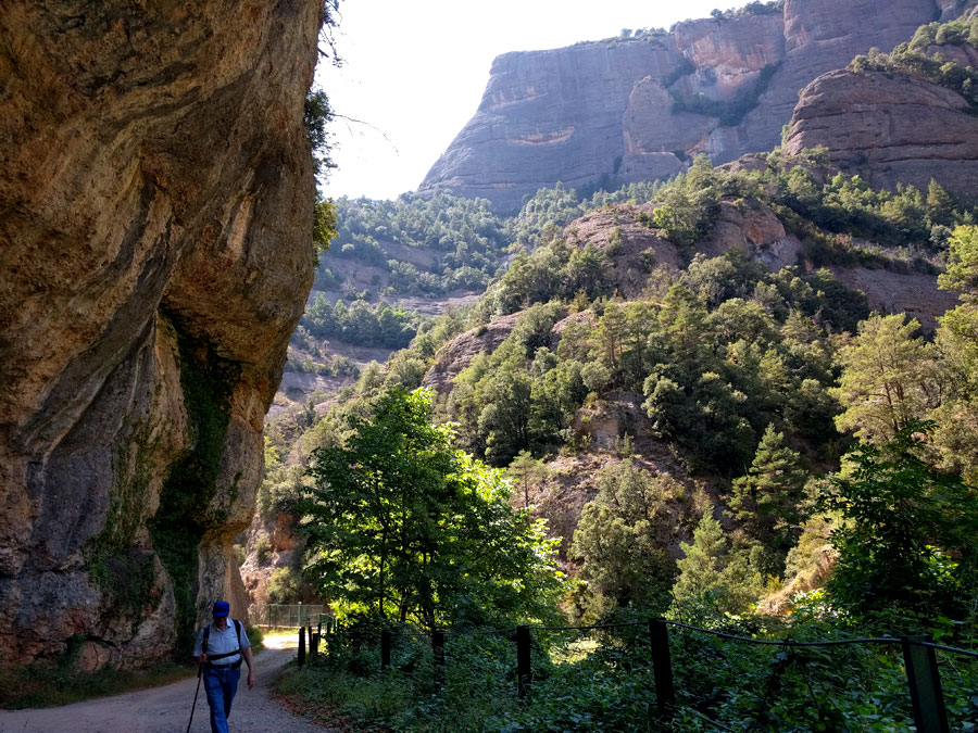 El camino se va estrechando -al fondo vemos la punta del Morro Aguilar- 