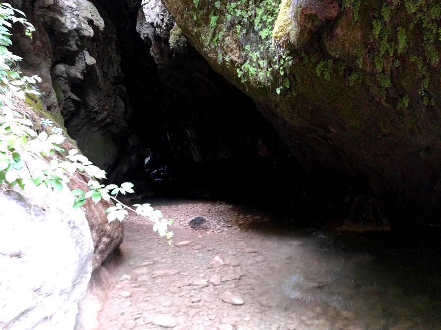 Interior del pont Cabradís 