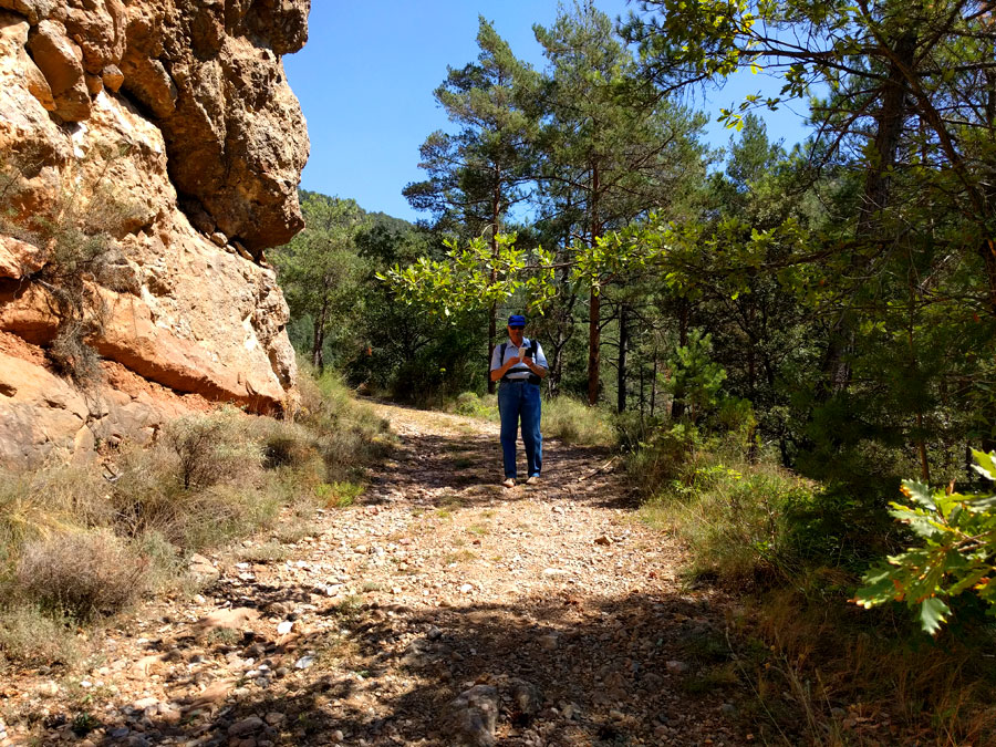 La pista llanea y sube ligeramente 