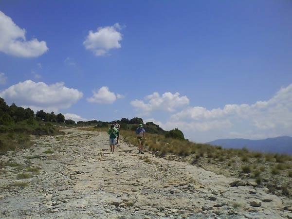 Bajando por el pla de Castell 