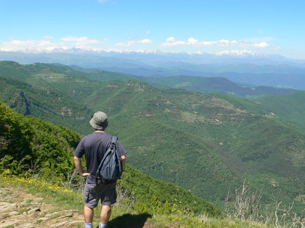 Vistas desde el Puig dels Llops 