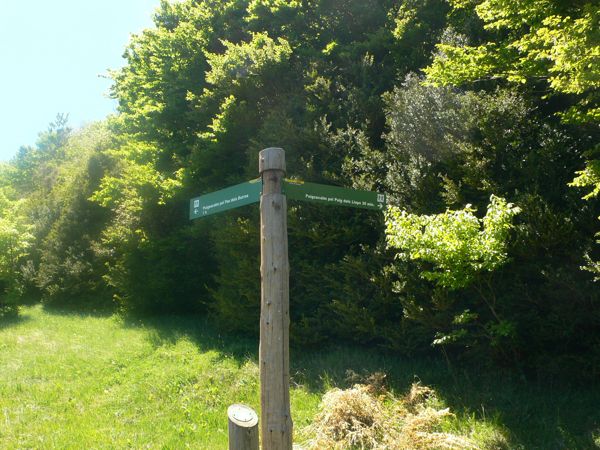 Indicadores en el Coll de Santa Magdalena -izquierda por el camí dels Burros (será nuestro regreso) - derecha Puigsacalm por el Puig dels Llops (por el que seguimos) 