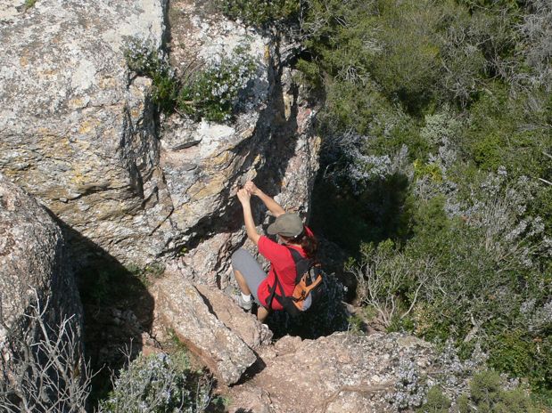 Descendiendo del Pujol de la Mata 