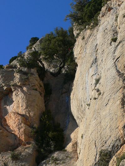 Salida del tramo fácil cerca de la encina y por la canal 
