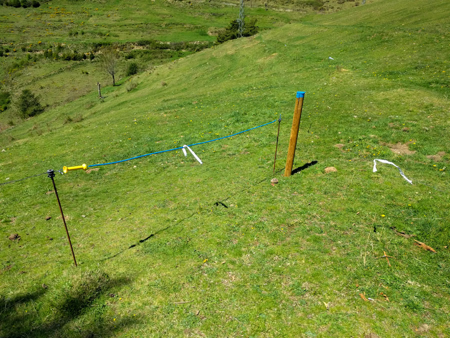 En el prado abrimos la valla electrificada y la cerramos a nuestros paso 