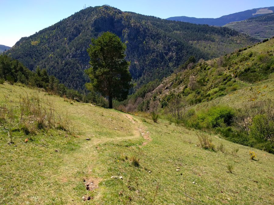 Seguimos el sendero descendente y las marcas azules 