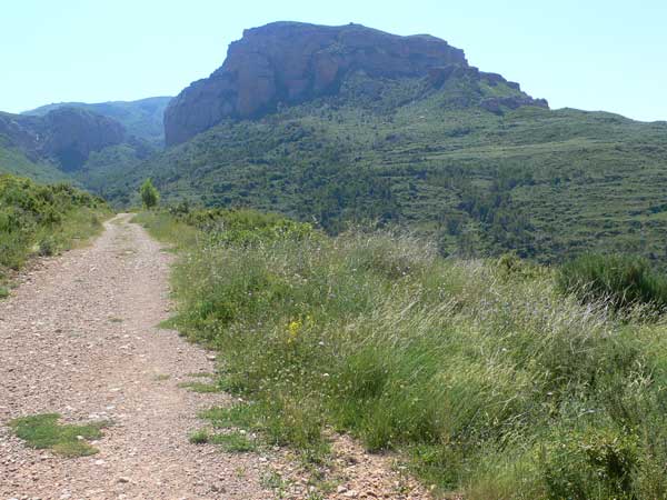 Camino de aproximación hacia el Mirador de los Buitres 