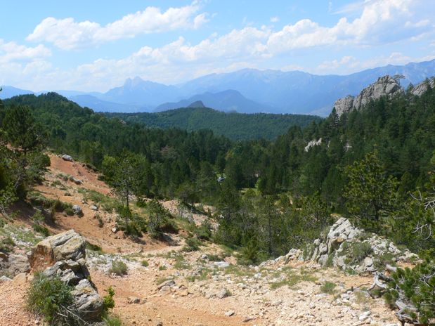 Subimos hacia el Roc por un camino erosionado 