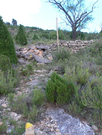 Marcas amarillas e indicadores en el regreso 