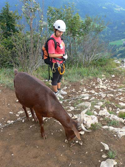 Cima de la vía ferrata con sorpresa incluida 