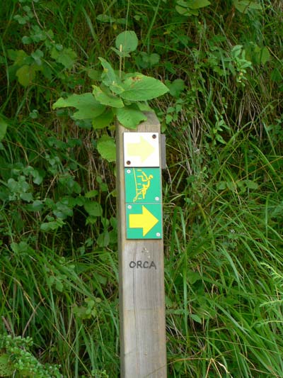 Camino de aproximación bien señalizado 