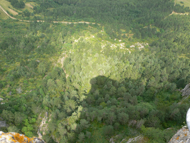 La sombra del techo se proyecta en el bosque 