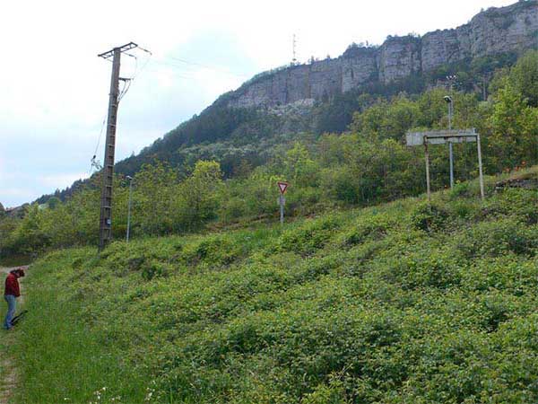Inicio de la ruta 